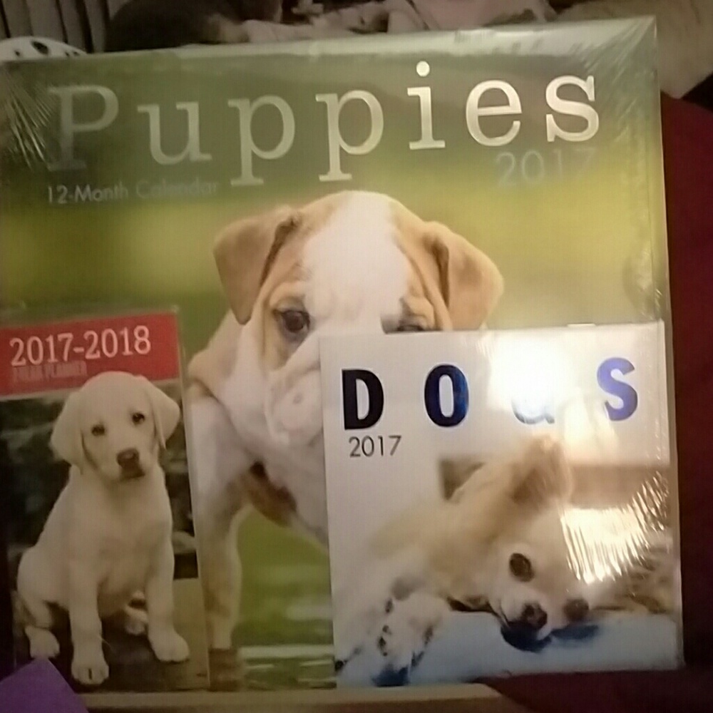 2017 Calendar bundle