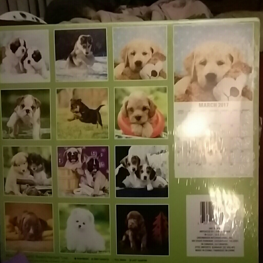 2017 Calendar bundle - Picture 2 of 2