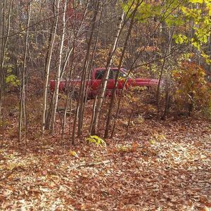 Meet your Posher, Beverly