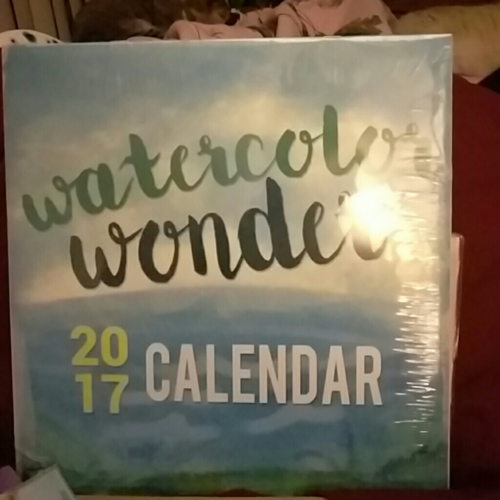 2017 calendar and Daily planner