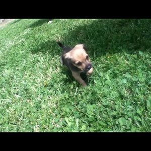 Meet your Posher, Ben