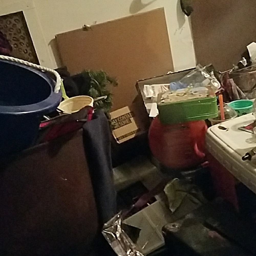 Meet your Posher, Ash