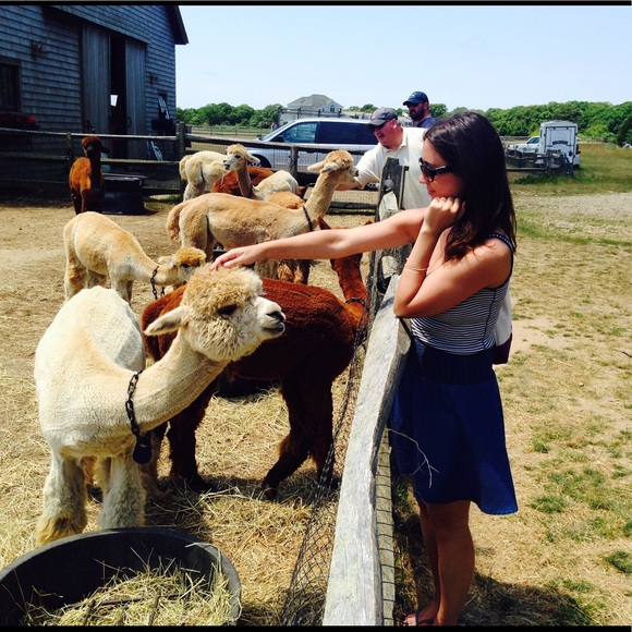 Meet your Posher, Linie - Picture 2 of 2