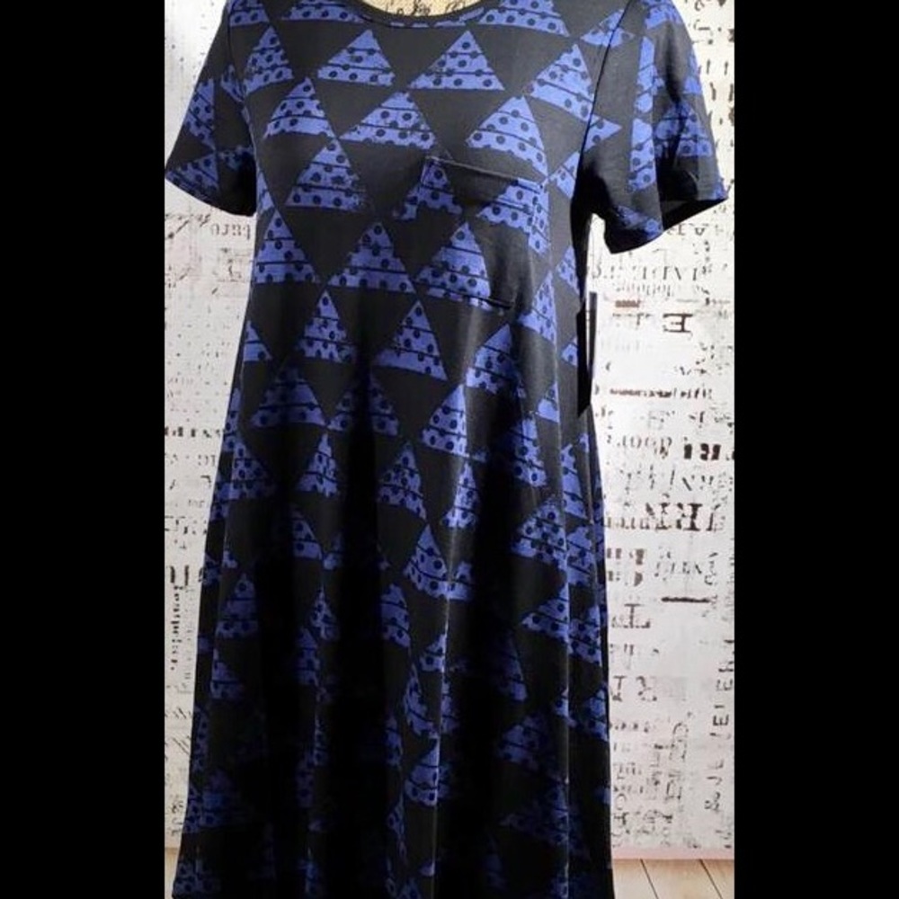 Lularoe Carly Swing Dress