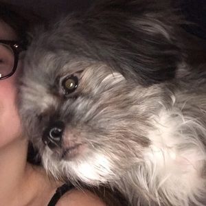 Meet your Posher, Elena