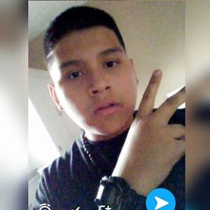 Meet your Posher, Peter