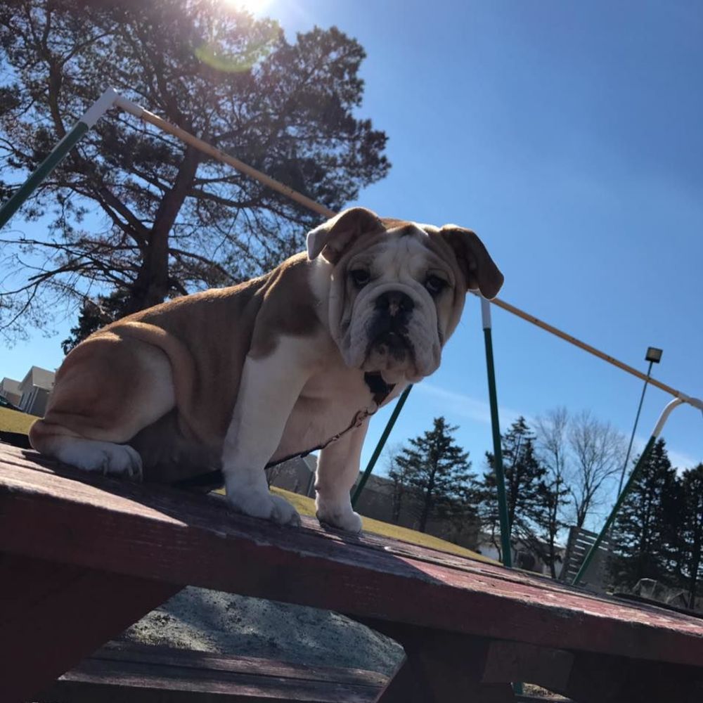 Meet your Posher, Emilio