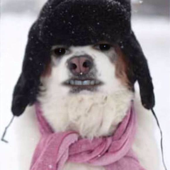 Meet your Posher, James - Picture 1 of 1