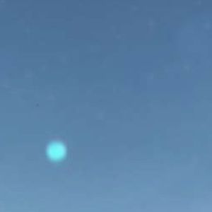 Meet your Posher, Maya