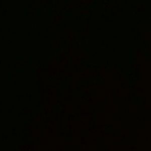 Meet your Posher, Eli