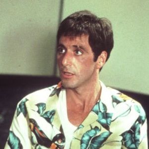 Meet your Posher, Moises