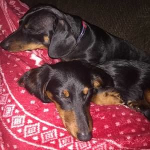 Meet your Posher, Chrystal