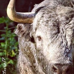 Meet your Posher, Roberto