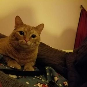 Meet your Posher, Tracy