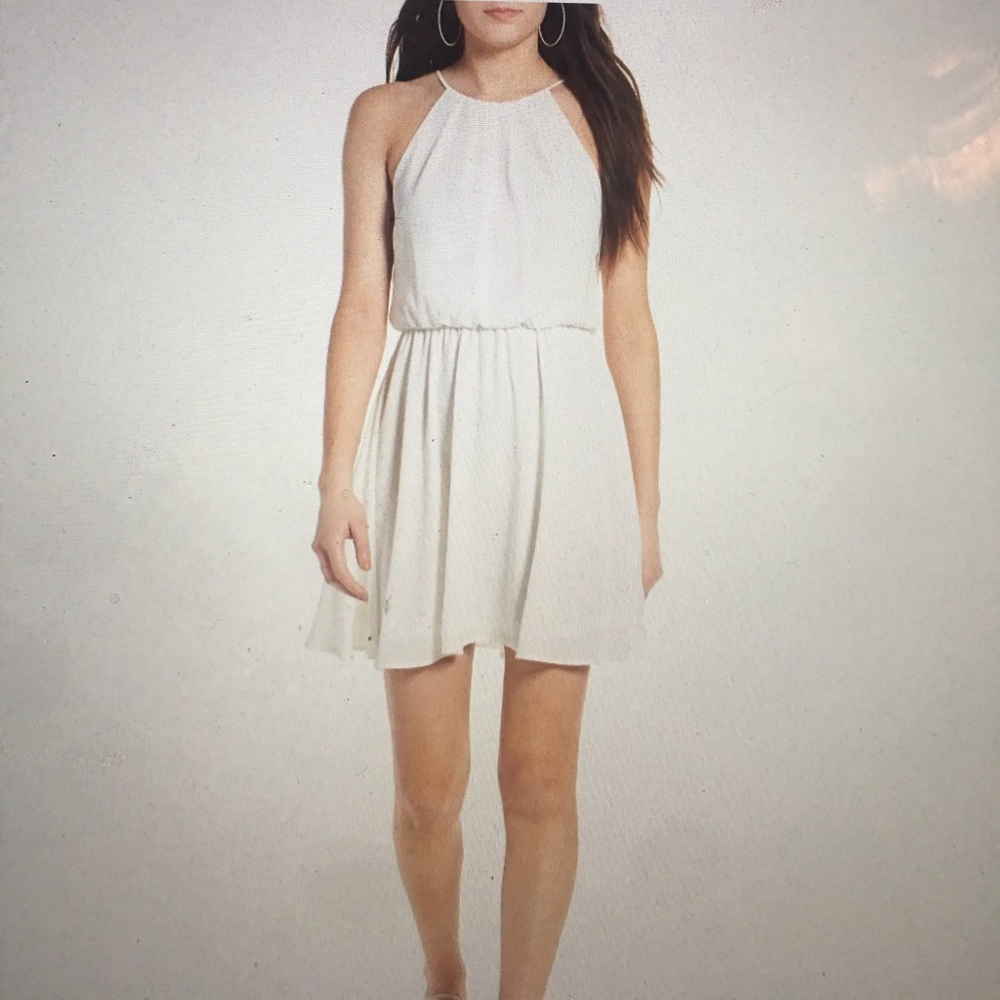 Lush Blouson Chiffon Skater Dress