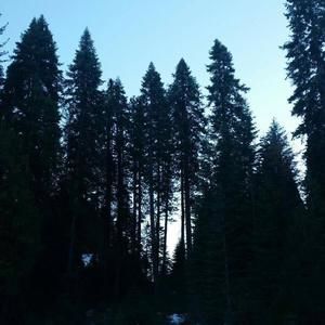 Meet your Posher, Glenda