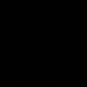 Meet your Posher, Leroy