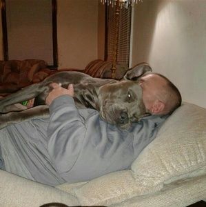 Meet your Posher, Kevin