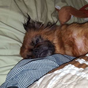 Meet your Posher, Kelli