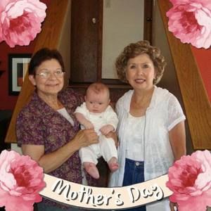 Meet your Posher, Holly