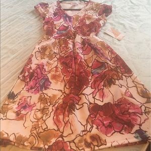 Honey and Lace dress