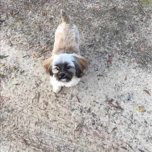 Meet your Posher, Jana