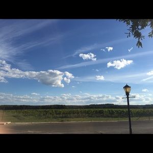 Meet your Posher, Sam