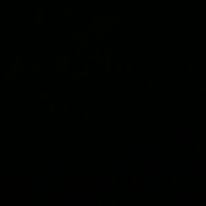 Meet your Posher, Dwayne