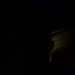 Meet your Posher, Logan