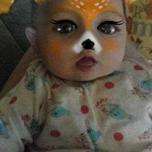 Meet your Posher, Ann