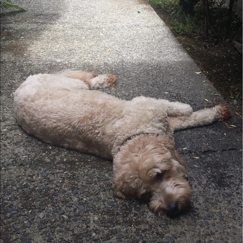 Meet your Posher, Erin