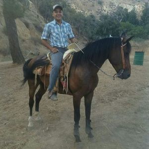 Meet your Posher, Ernesto