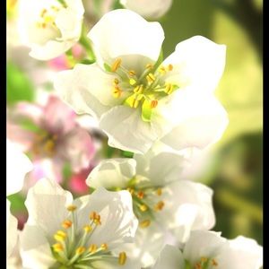 Meet your Posher, Reese