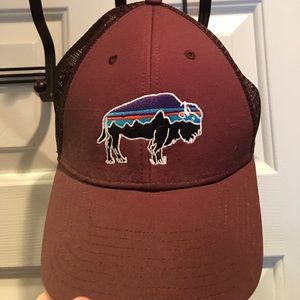 Patagonia Fitz Roy Buffalo Truck Mesh Hat NWT