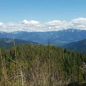 Meet your Posher, Tabitha