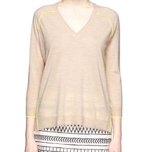 J. Crew Merino Wool Neon Piped V Neck Sweater
