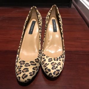 Ann Taylor leopard block heels