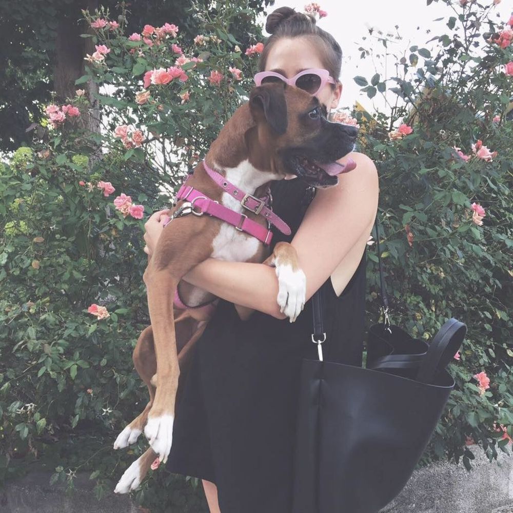 Meet your Posher, Emily