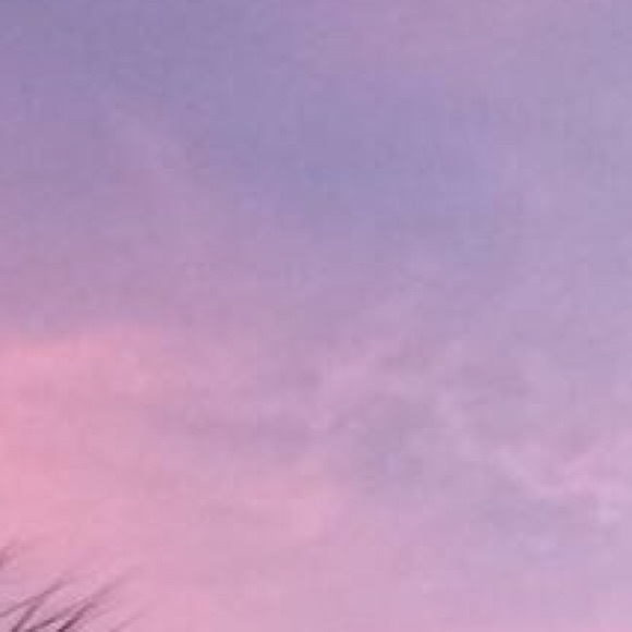 Meet your Posher, Olivia - Picture 1 of 1