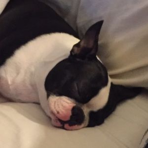 Meet your Posher, Cynthia