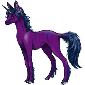 Meet your Posher, Tracy danyell