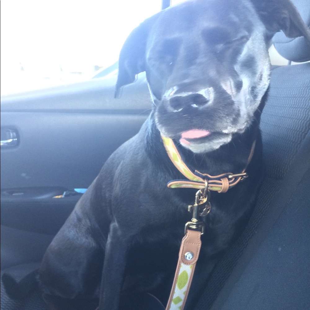 Meet your Posher, Elina