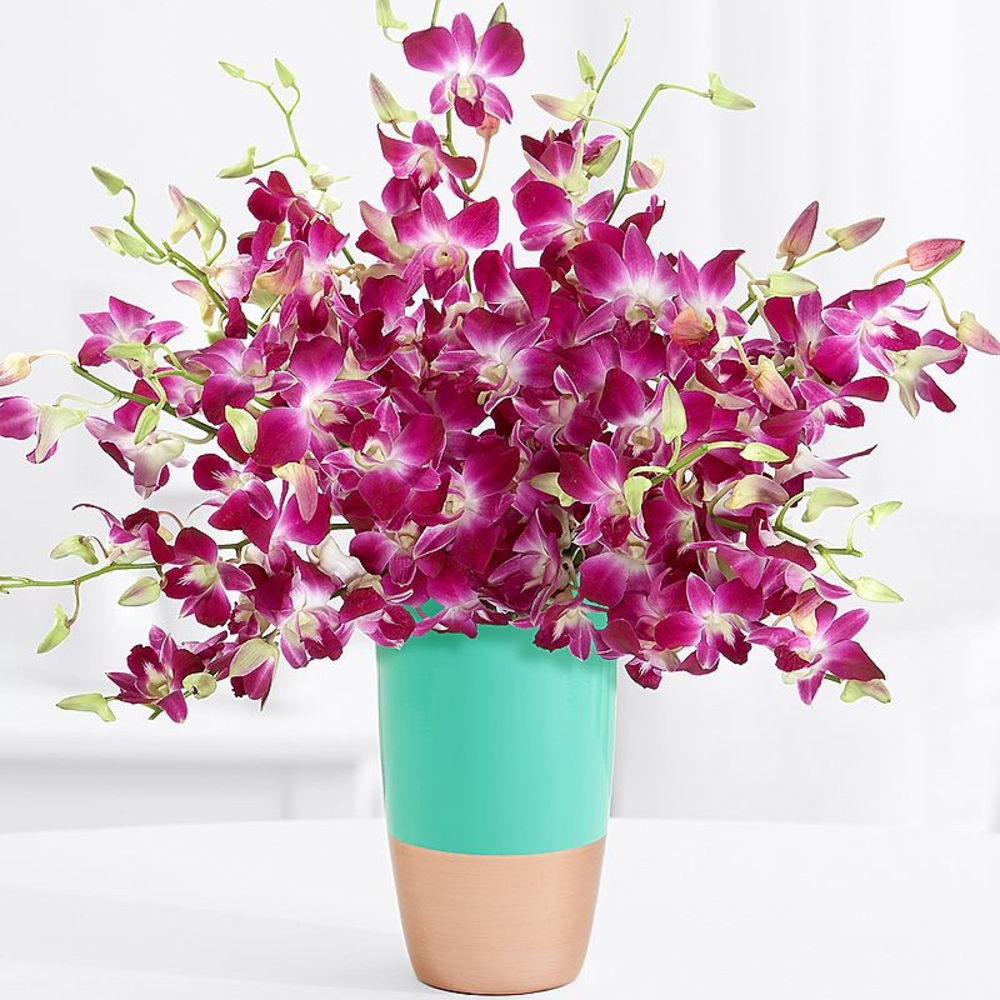 Meet your Posher, Franscesca