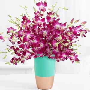 Meet your Posher, Franscesca