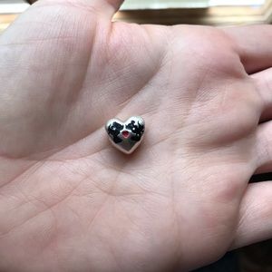Authentic Disney Parks Pandora Charm