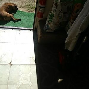 Meet your Posher, Luann