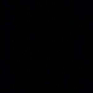 Meet your Posher, Dalonda