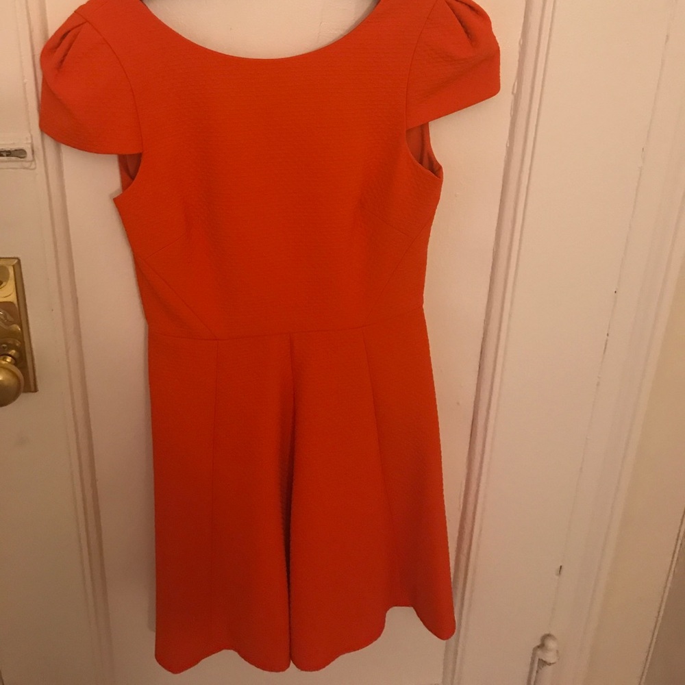 4. Collective NWT cap sleeve dress size 4