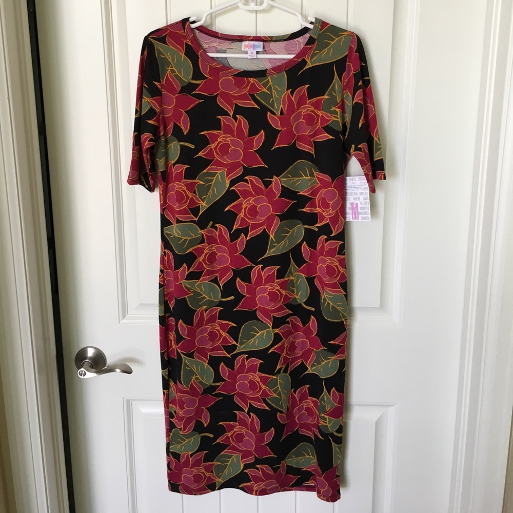 NWT M Julia Lularoe Dress