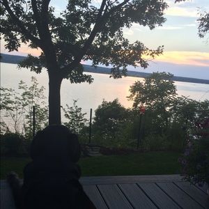 Meet your Posher, Heather